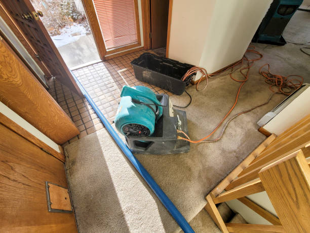 Best Local water damage restoration  in Kenyon, MN