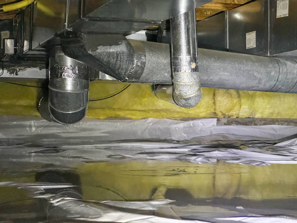 Best Water damage cleanup near me  in Kenyon, MN